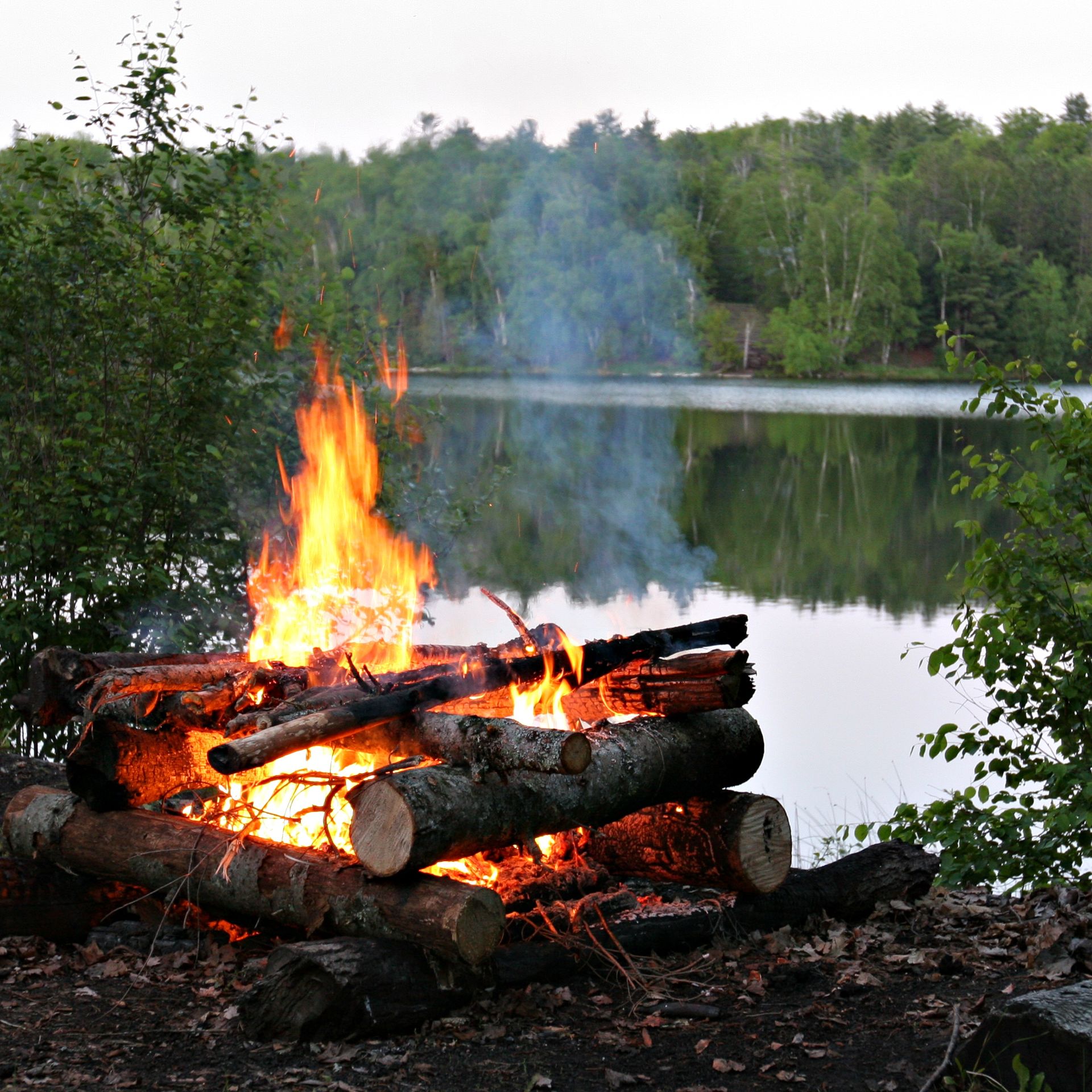 Basecamp vid vildmarkslodgen